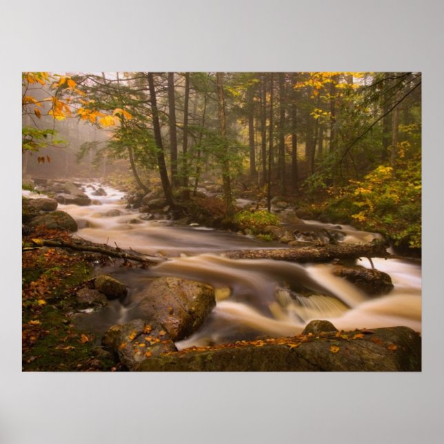 Fließende Bäche Appalachian Trail | Vermont Poster (Vorne)