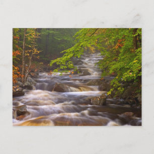 Fließende Bäche entlang des Appalachian Trail Postkarte
