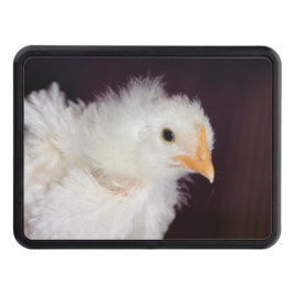 Fliff Abschlepphaken Cover