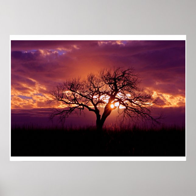 Flint Hills Sunset Poster (Vorne)