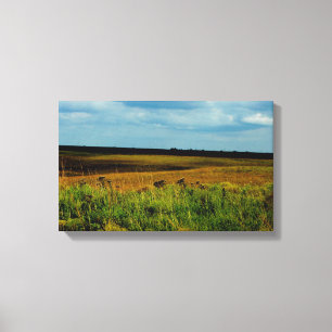 Flint Hills von Kansas canvas drucken Leinwanddruck
