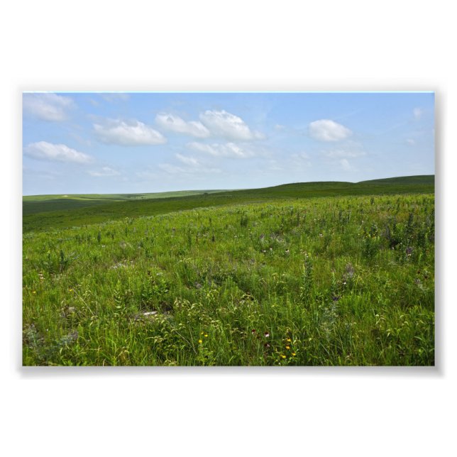 Flint Hills Wildblumen, Kansas Fotodruck (Vorne)