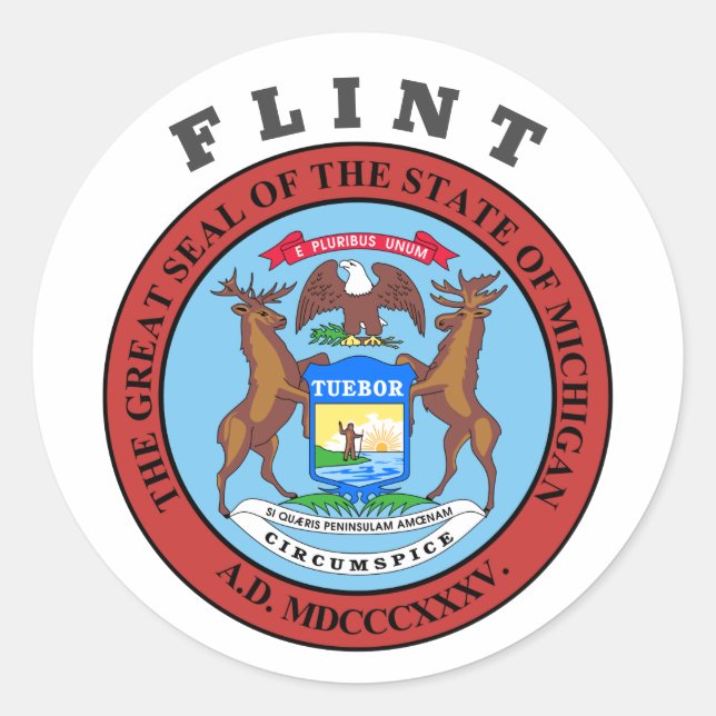 Flint, Michigan Runder Aufkleber (Vorderseite)