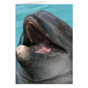 Flipper