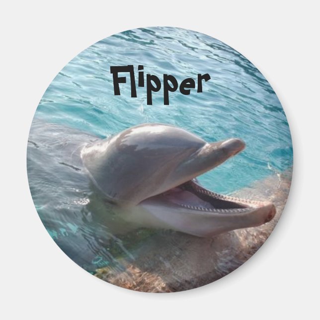 Flipper Magnet (Vorne)
