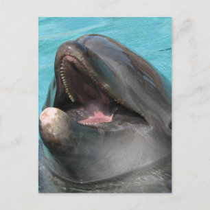 Flipper-Postkarte Postkarte