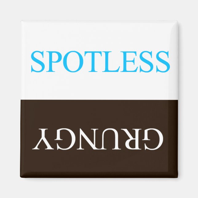 "FLIPPERS" SPOTLESS GRUNGY DISHWASHER MAGNET (Vorne)