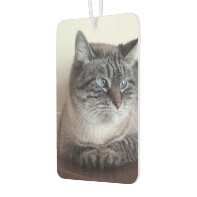 Flo Kitty-Kat Autolufterfrischer (Links)