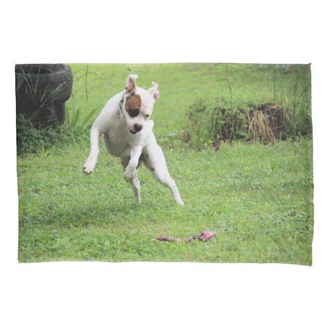 Float Kissenbezug (Vorderseite)