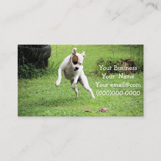 Float Visitenkarte (Vorderseite)