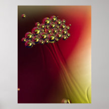 Floating Abstrakte Blasen farbenfroher Hintergrund