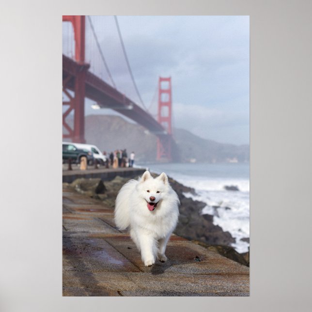 Floating by Golden Gate Bridge Poster (Vorne)