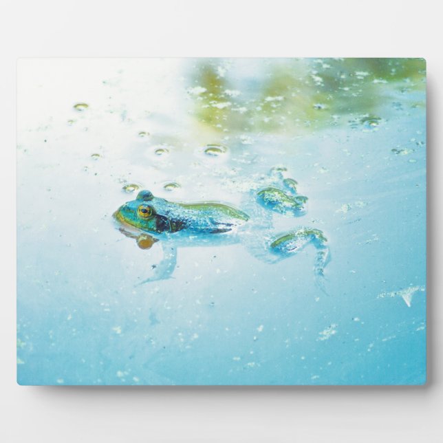 Floating Fotoplatte (Vorderseite)