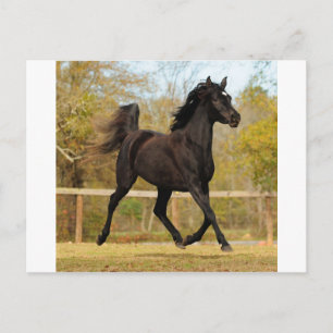 Floating in der Luft Postkarte