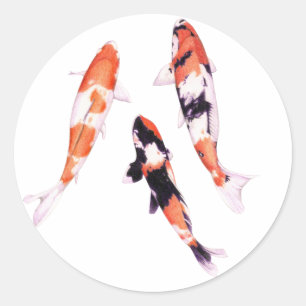 Floating Koi Sticker