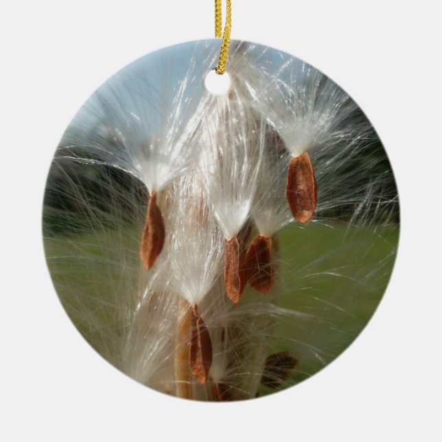 Floating Milkweed Seeds Art Print/Graphic Keramik Ornament (Vorne)