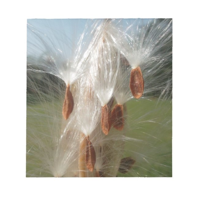Floating Milkweed Seeds Art Print/Graphic Notizblock (Vorderseite)