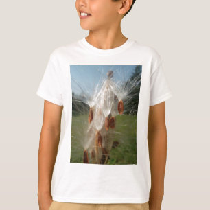 Floating Milkweed Seeds Art Print/Graphic T-Shirt