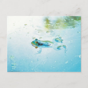 Floating Postkarte