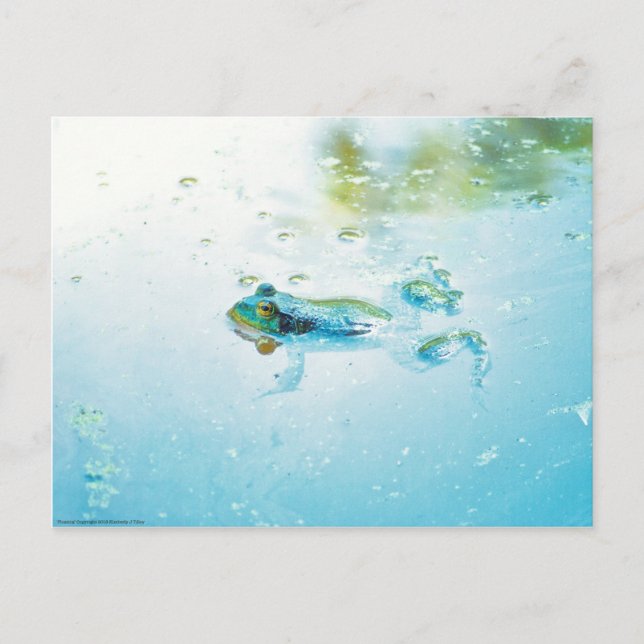 Floating Postkarte (Vorderseite)