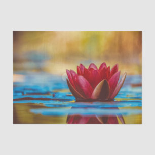 Floating Red Lotus Tissue Paper Seidenpapier