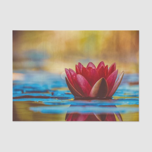 Floating Red Lotus Tissue Paper Seidenpapier (Vorderseite)