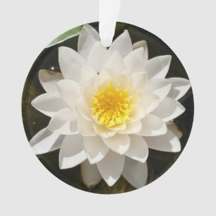 Floating White Wasserlilie Lotus Ornament