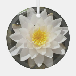 Floating White Wasserlilie Lotus Ornament Aus Glas