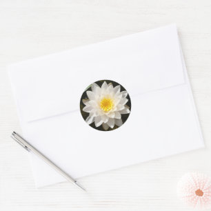 Floating White Wasserlilie Lotus Runder Aufkleber