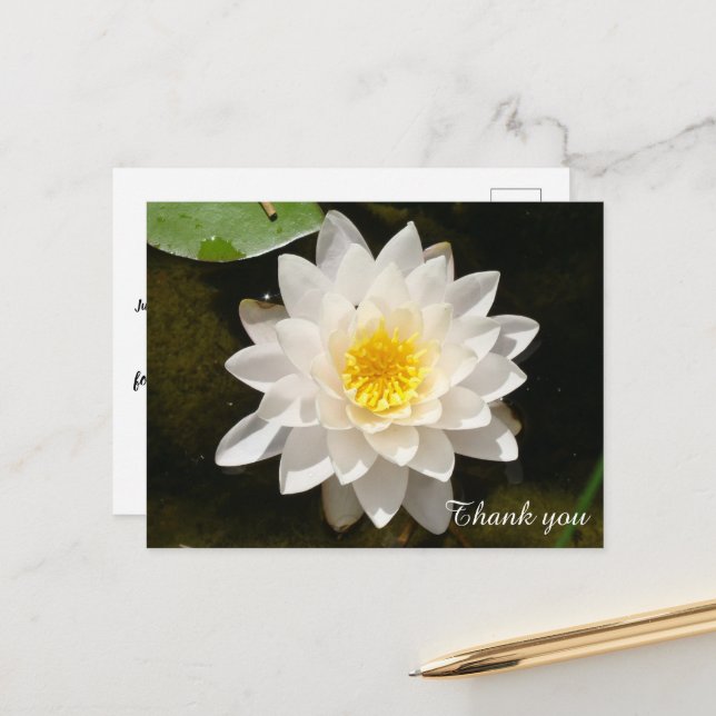 Floating White Wasserlilie Lotus Vielen Dank Postkarte (Vorderseite/Rückseite Beispiel)