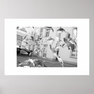 Flock - Gerahmter Druck Poster