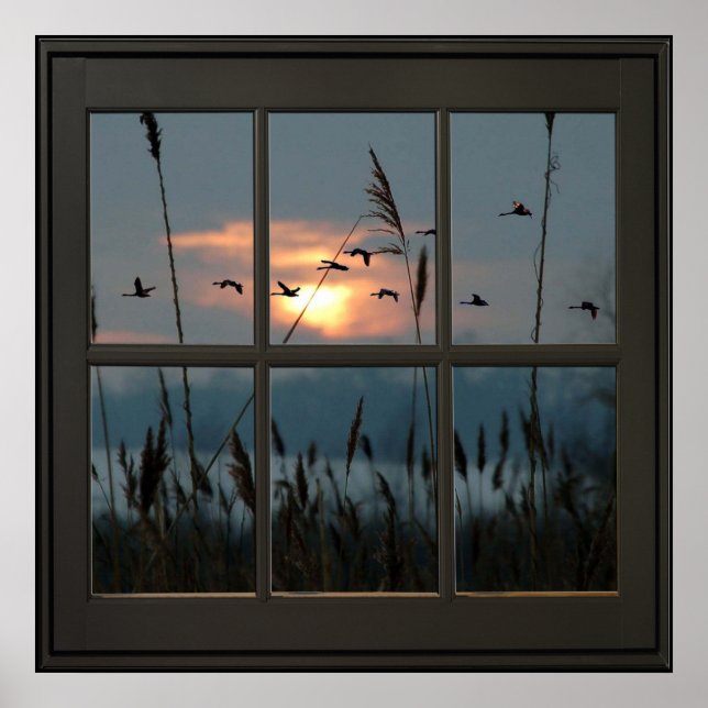 Flock of Birds Imitate Fenster Illusion 24x24 Schw Poster (Vorne)