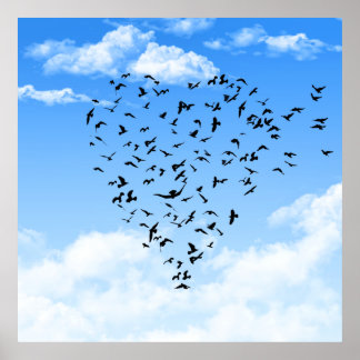 Flock of Birds Liebe Herzplakat Poster