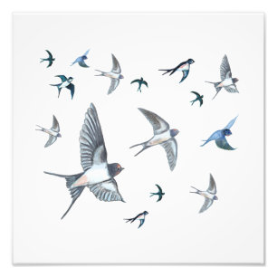 Flock of Fly Swallow Birds Illustration Fotodruck