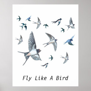 Flock of Fly Swallow Birds Illustration Poster