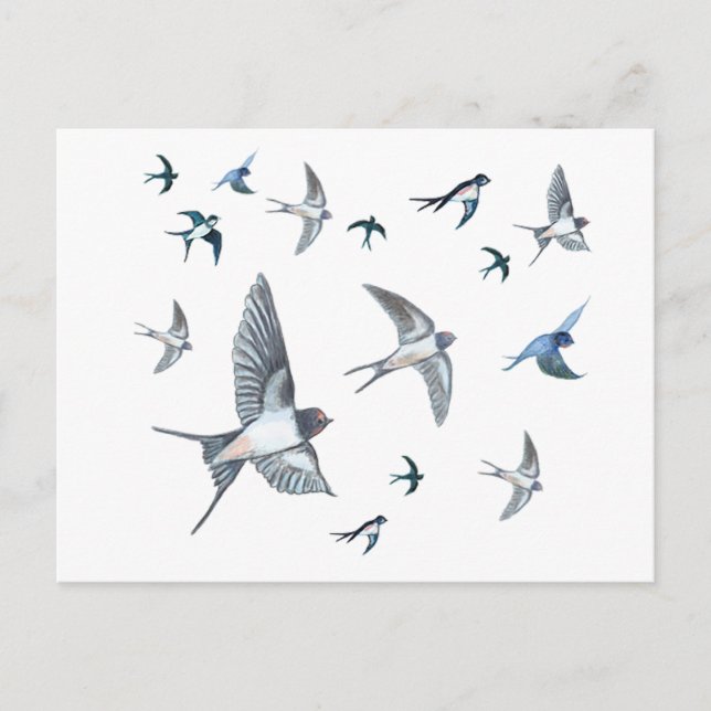 Flock of Fly Swallow Birds Illustration Postkarte (Vorderseite)