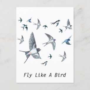 Flock of Fly Swallow Birds Illustration Postkarte