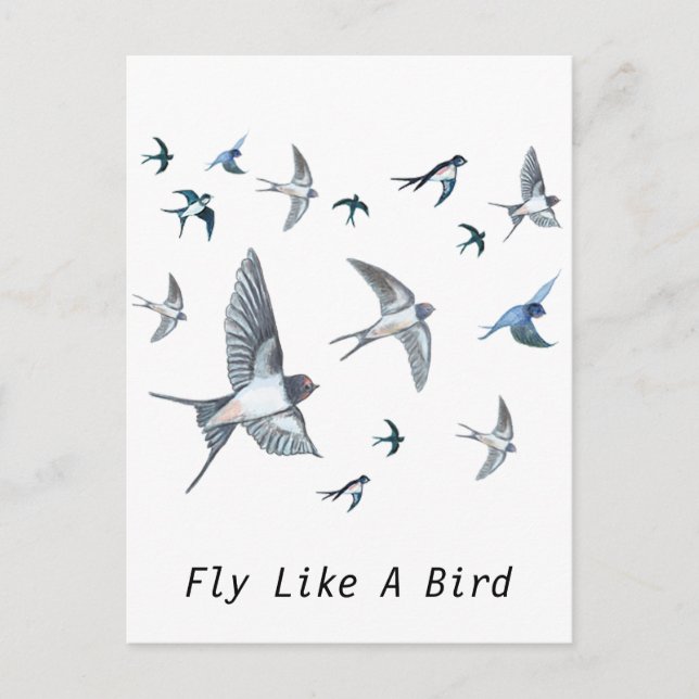 Flock of Fly Swallow Birds Illustration Postkarte (Vorderseite)