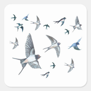 Flock of Fly Swallow Birds Illustration Quadratischer Aufkleber