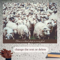 Flock von weißen und schwarzen Schafen