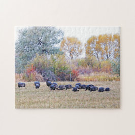 Flock wild lebender Truthühner auf einem Feld Puzzle