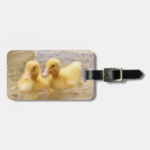 Flockige gelbe Entlein Getty Bild-  Gepäckanhänger
