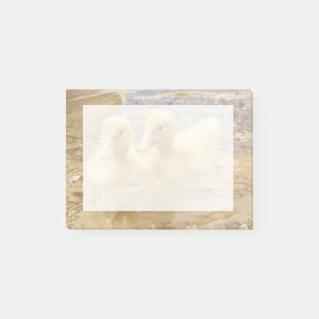 Flockige gelbe Entlein Getty Bild-| Post-it Klebezettel (Vorderseite)