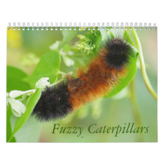 Flockiger Raupen-Kalender Kalender