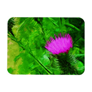 Flodmans Thistle Lila Wildblume Abstrakt Magnet