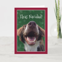 Flöhe Navidad! Humorvoller Hund am Weihnachten