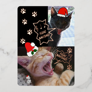 Flöhe Navidad singende Katzen Weihnachts-Grußkarte Folieneinladung