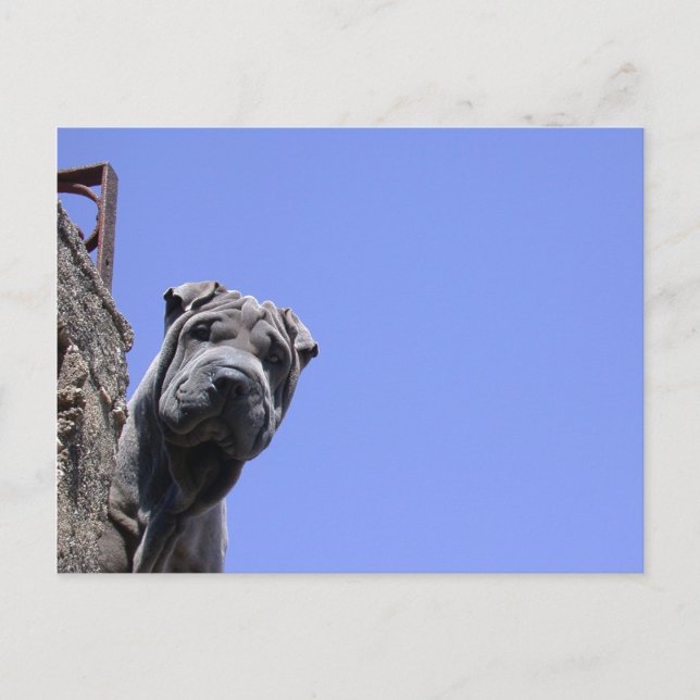 Flohmarkt Postkarte (Vorderseite)