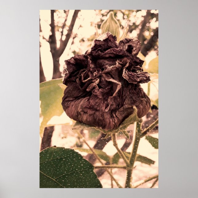 flor mortal poster (Vorne)