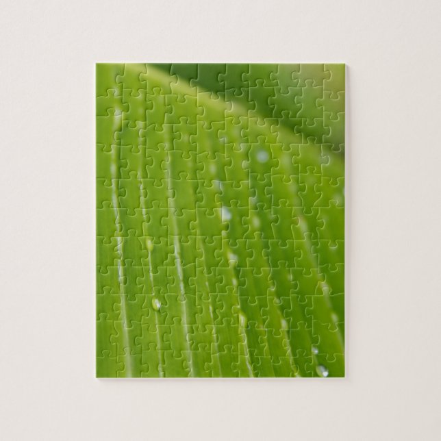 Flora Dominica 2 Puzzle (Vertikal)